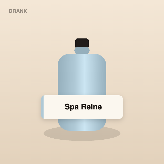 Spa Reine bronwater